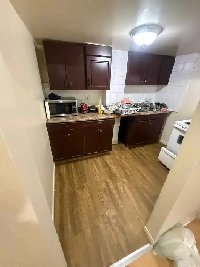 from sep 01 basement for rent