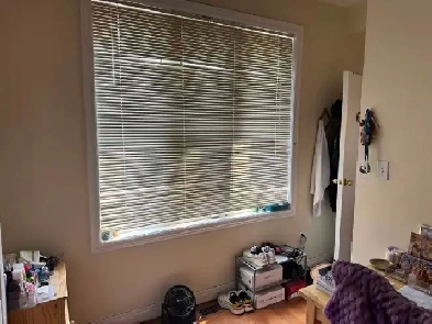 rooms for rent near York University
