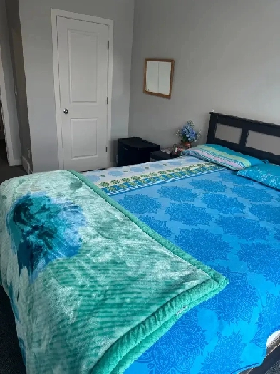 Room for rent savanna drive ne