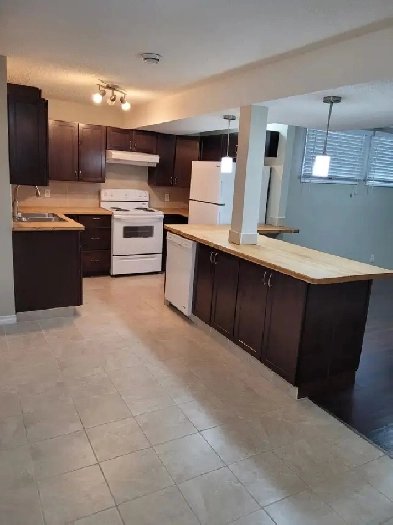 Basement for Rent