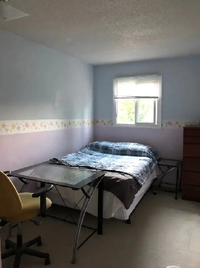 Furnished Room Near U of M Male