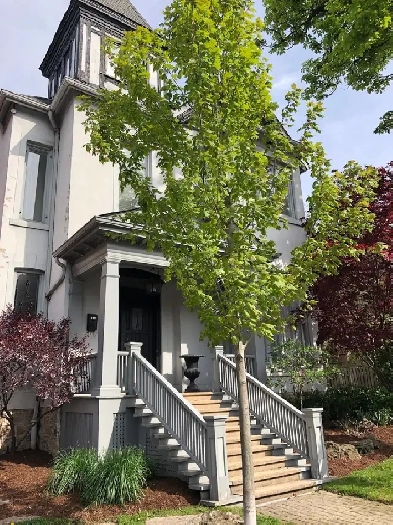 HAMILTON - STUNNING 2 BEDROOM - EXCLUSIVE DURAND AREA