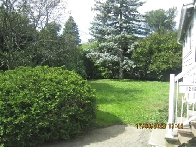 2 maisons a louer .Vous chercher la tranquillité petite foret de