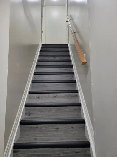One bedroom basement is available for rent