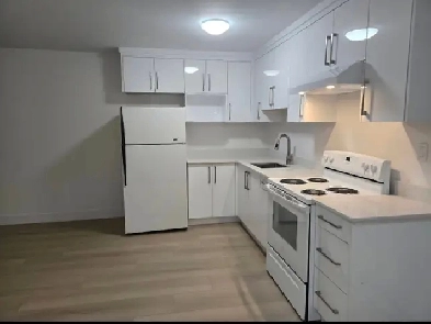 MODERN 2 BEDROOM BASEMENT SUITE FOR RENT IN BURNABY HOSPITAL ARE
