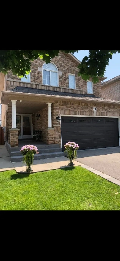 Basement forrent