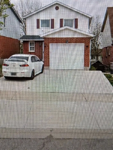Basement For Rent, One bedroom Apt  with walkout to yard.
