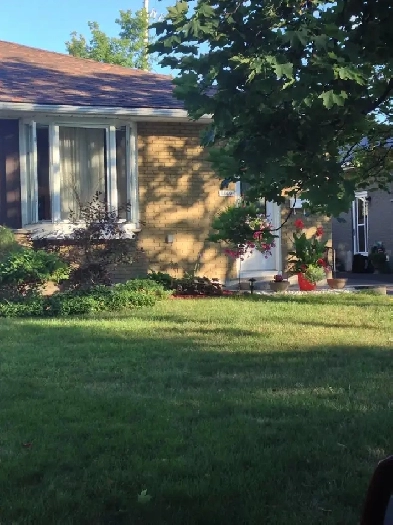 McKellar Park/Westboro Apartment For Rent