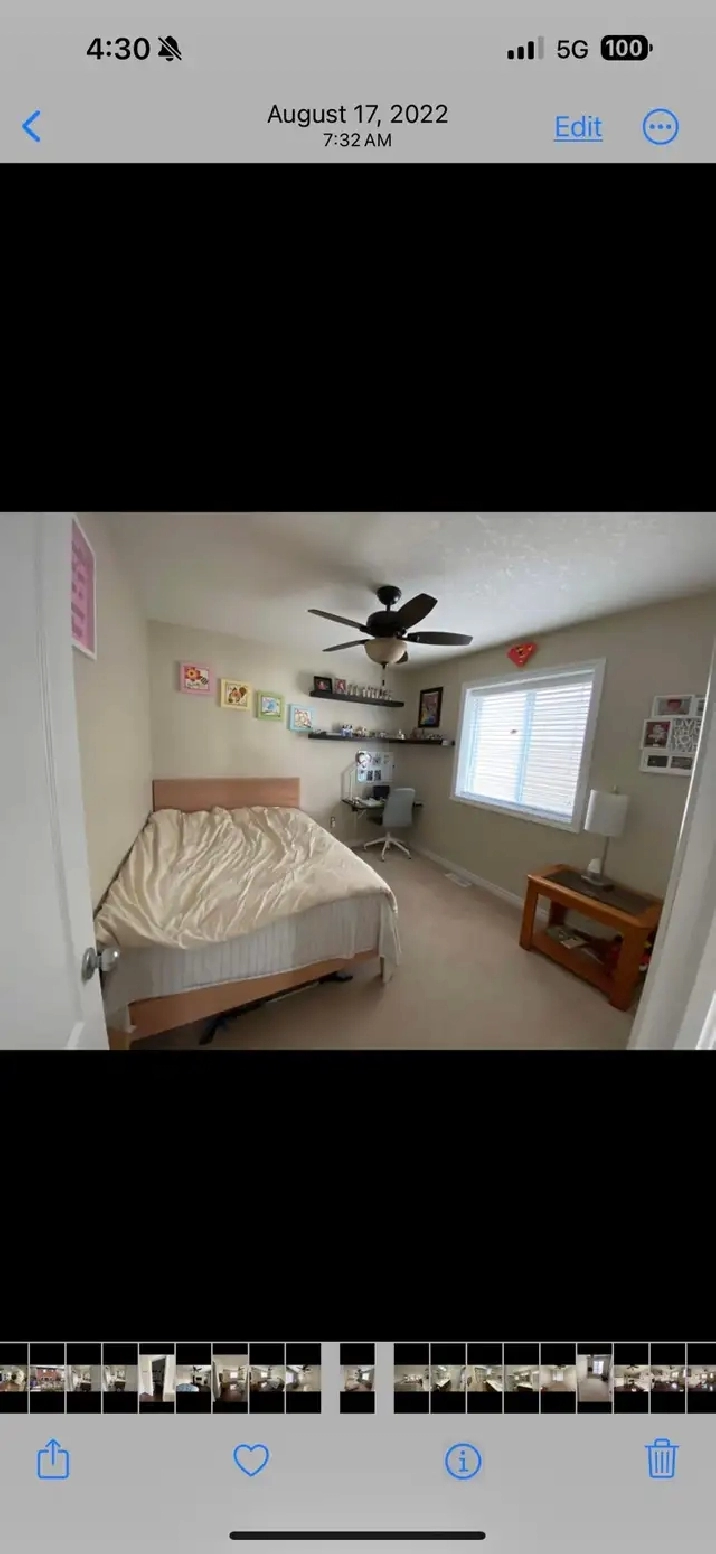 Photo 5