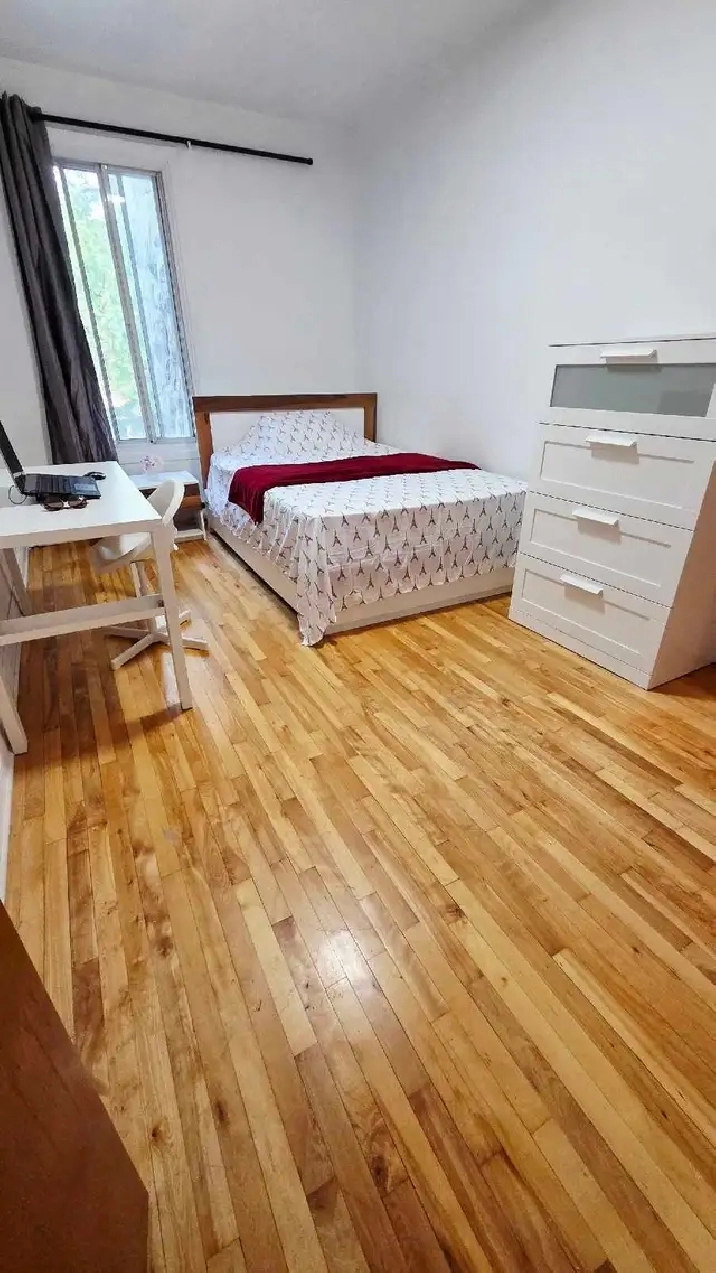 Photo 6