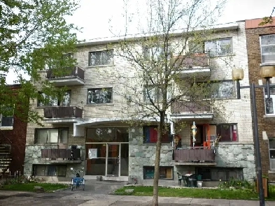 2 1/2  avec terrasse