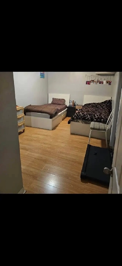 basement bedroom
