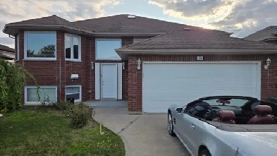 House for rent