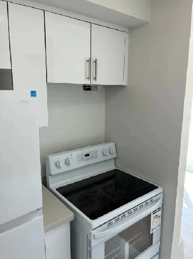 Beautiful Renovated 2 Bedroom in Belleville