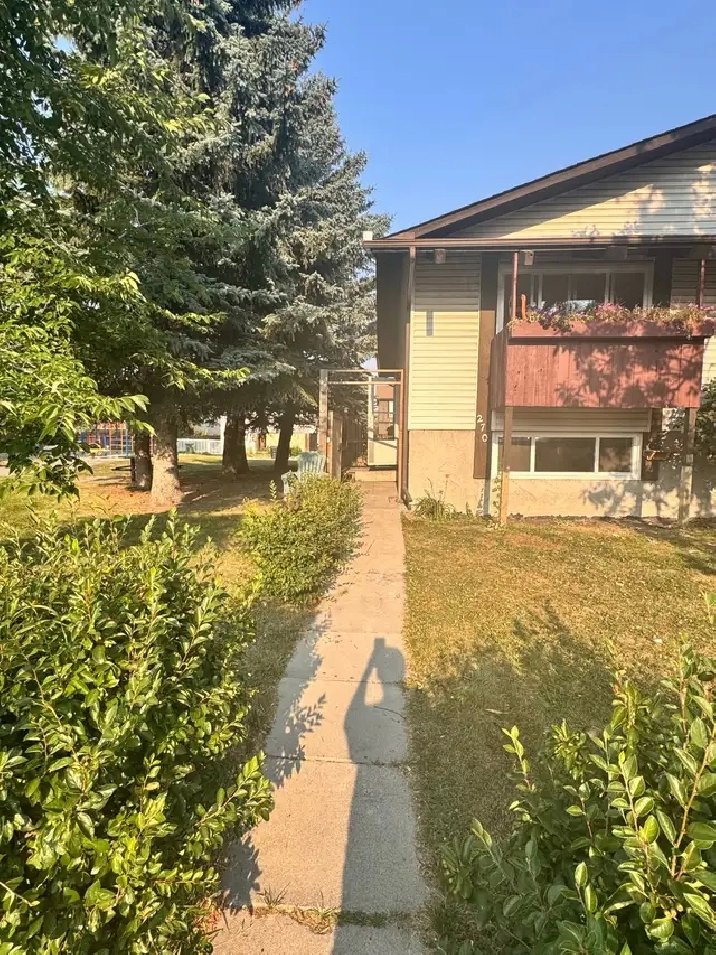 Brand new 2 bedroom bsmt in templeview way NE
