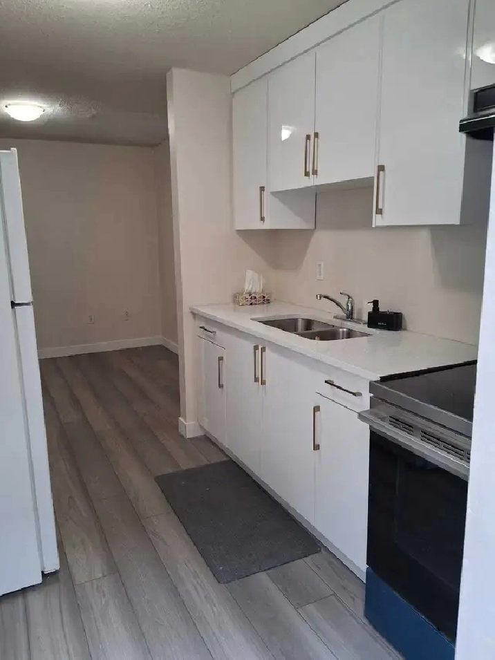 Basement for rent