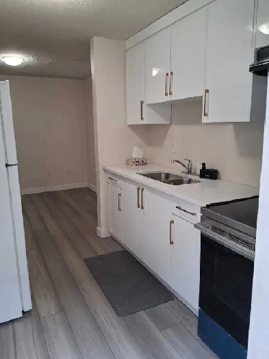 Basement for rent