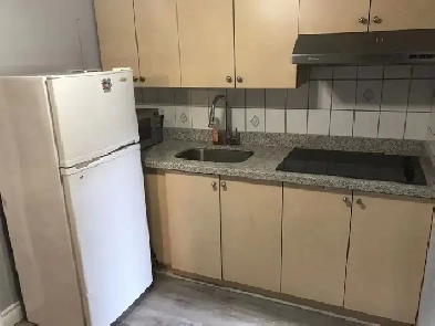 1 Bedroom Basement Apartment