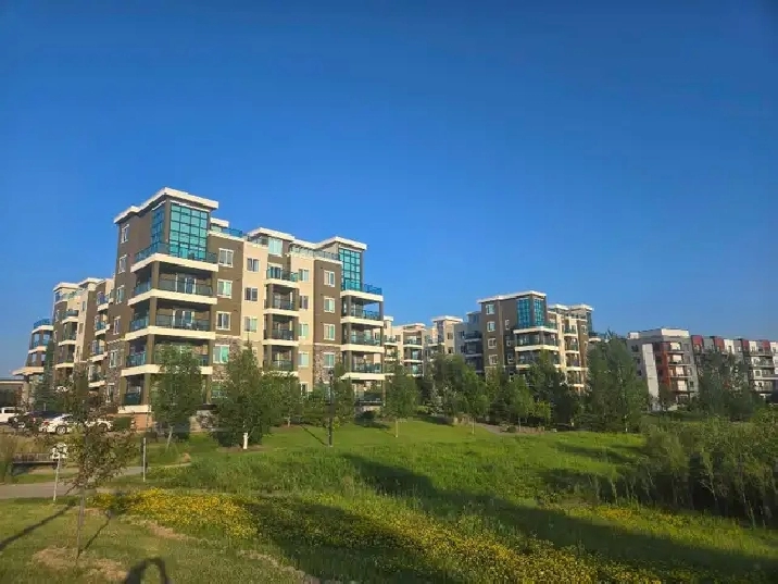 Windermere Apartment For Rent