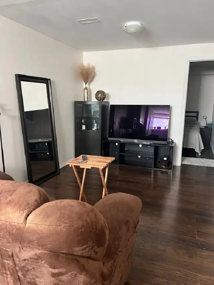 Furnished Basement unit  for rent
