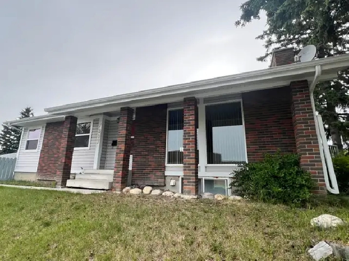 basement for rent available $1595