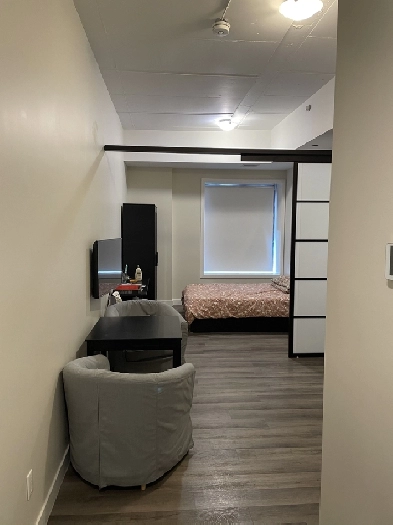 Furnished One-Bedroom/Bachelor for Rent Near Ottawa University
