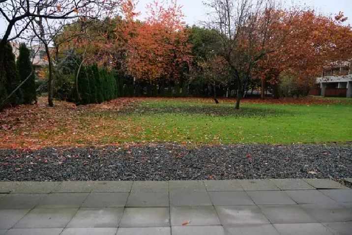 1 Bedroom Apartment Next to Seawall