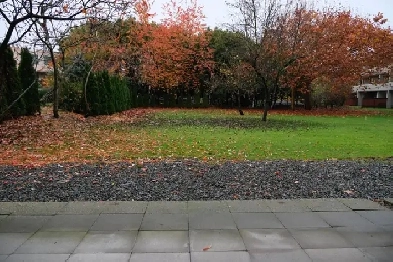 1 Bedroom Apartment Next to Seawall
