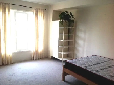 Big York Village Room for rent York University Available Oct