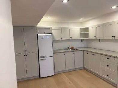 1 bedroom basement apt Markham