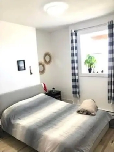 1Bed 1Bath Basement Unit for rent available Sept 1