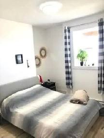 1Bed 1Bath Basement Unit for rent available Sept 1