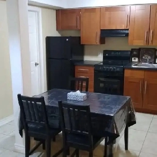 NEW-Furnished bright bsmt apt-Merivale/Meadowlands-VIDEO's