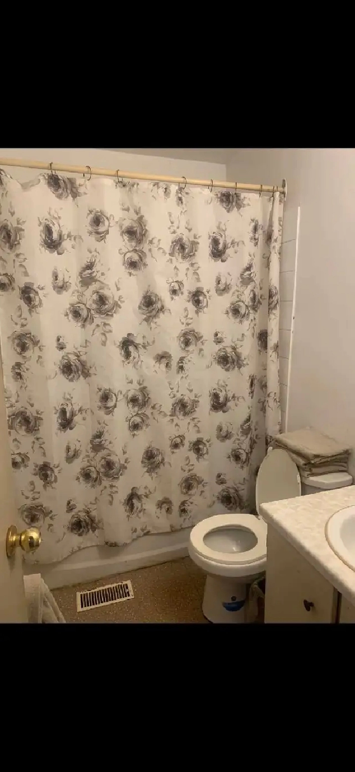 room for rent near cambrian