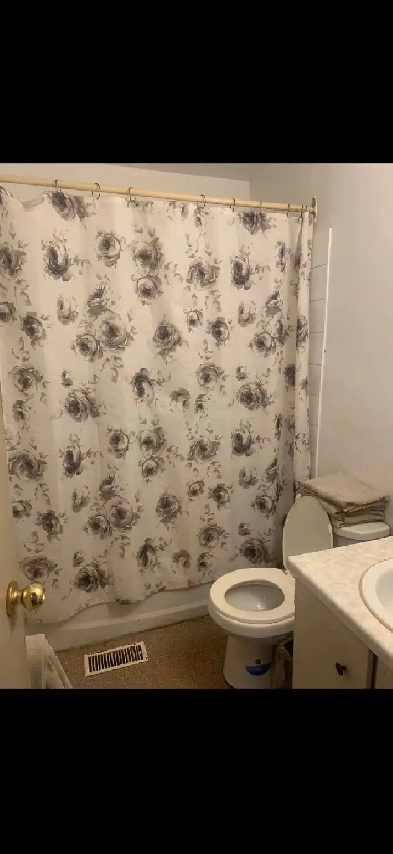 room for rent near cambrian