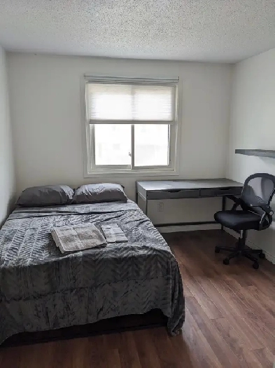 Student House for Rent