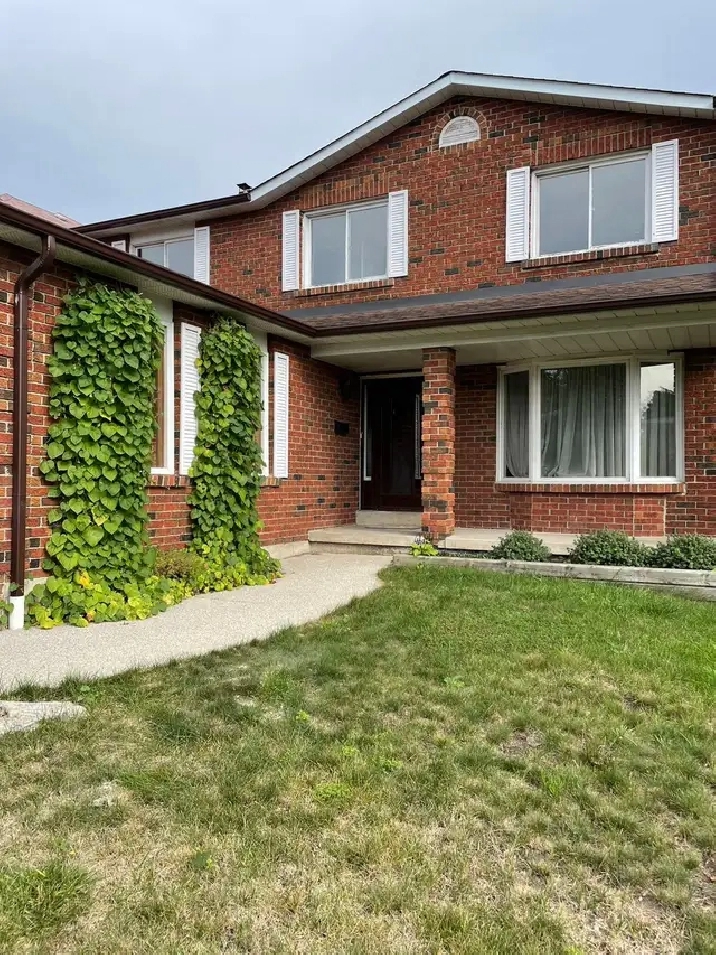 - Dixie Road/ Eglinton separate entrance 2 bedrooms basement