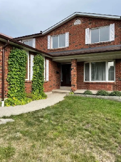 - Dixie Road/ Eglinton separate entrance 2 bedrooms basement