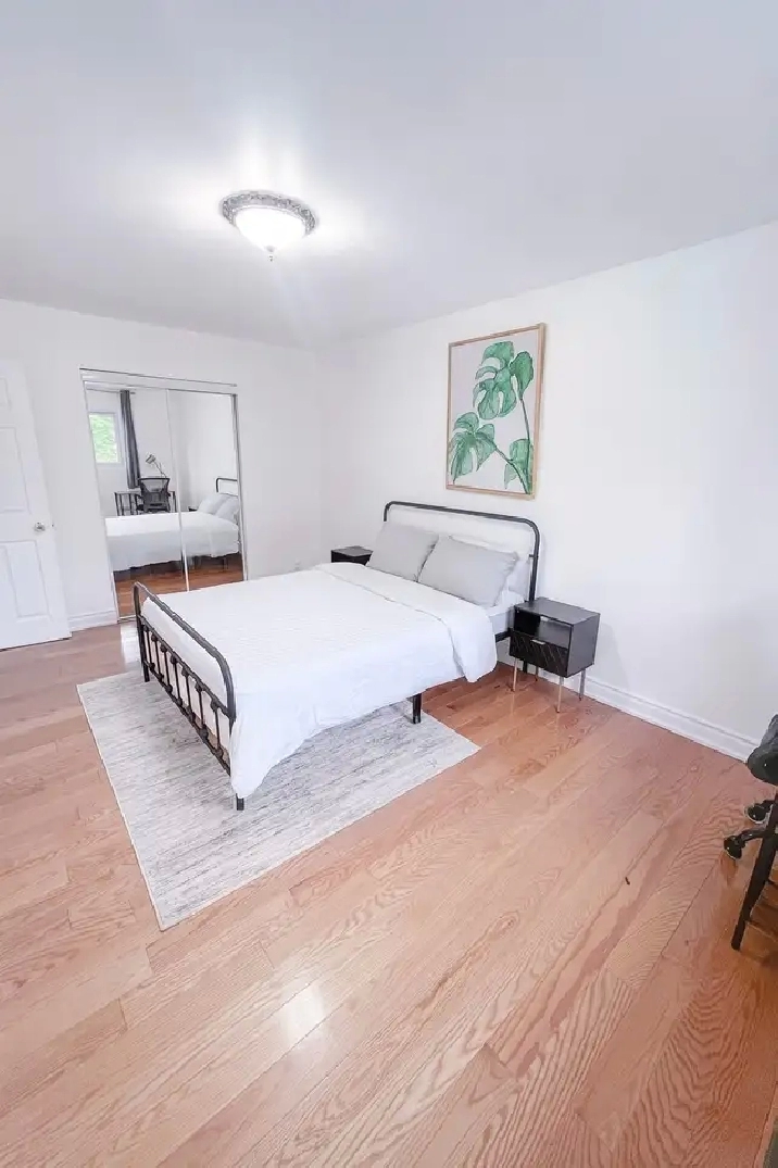 Spacious room for rent (Warden & Finch)
