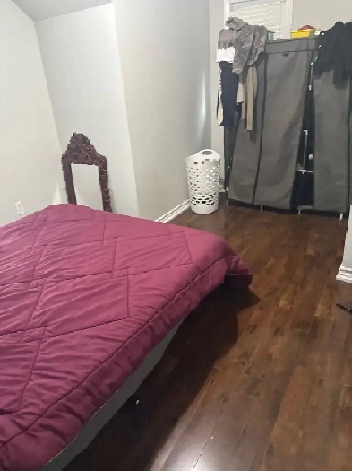 Room for Rent