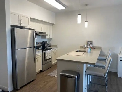 1 bed 1 bath Apartment