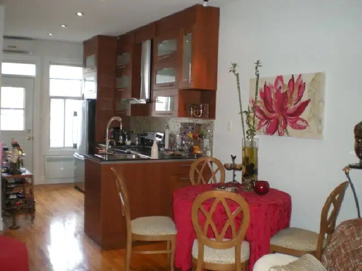 APPARTEMENT -3-1/2 - STYLE LOFT - SECTEUR ROSEMONT