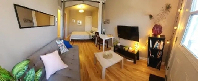 1265$ Studio Lumineux pour Professionnel ou Étudiant Métro Fabre