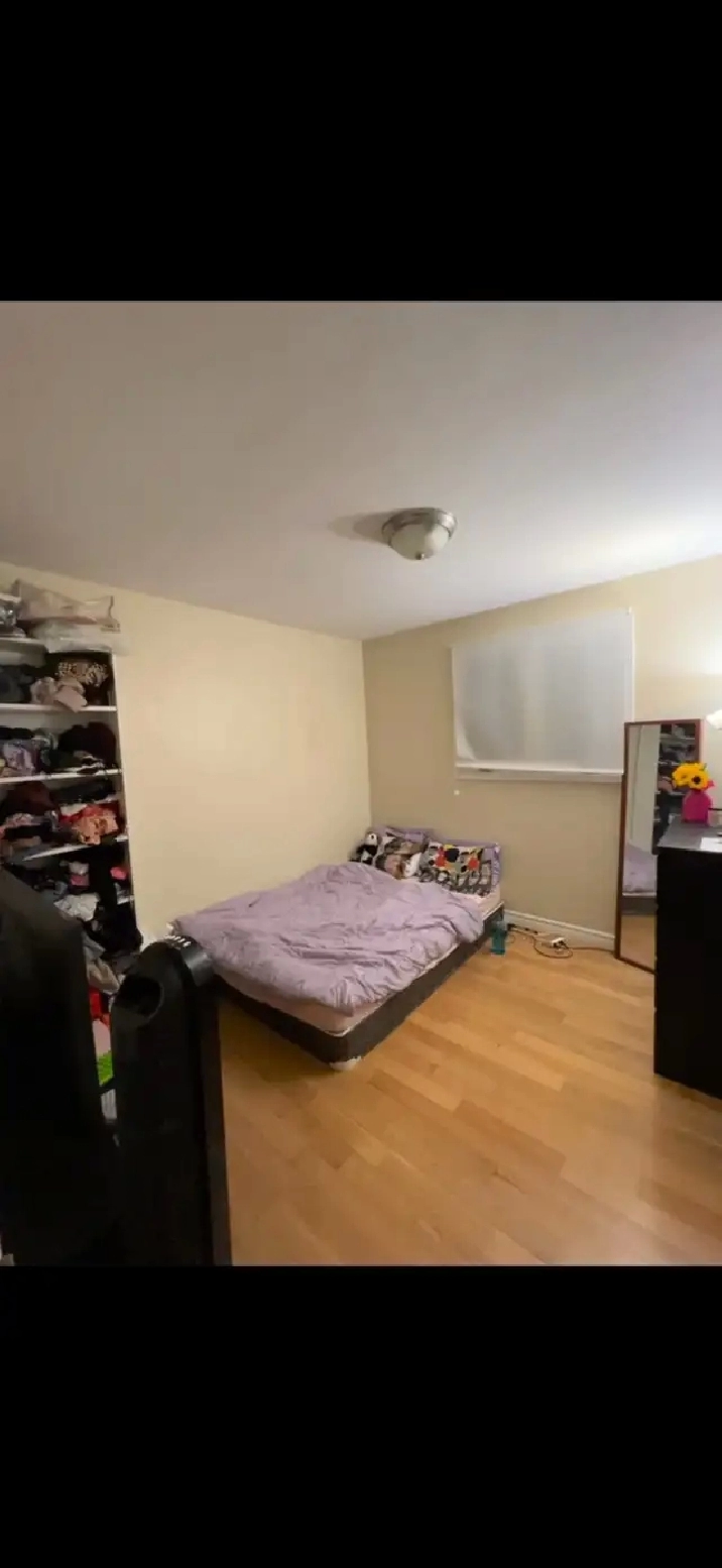 Room Near Seneca College | Females Only