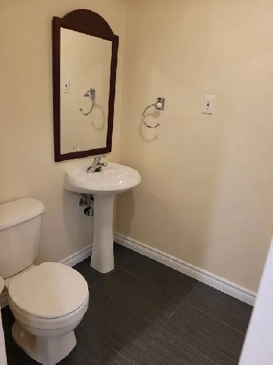Spacious One Bedroom Basement Apartment for Rent!