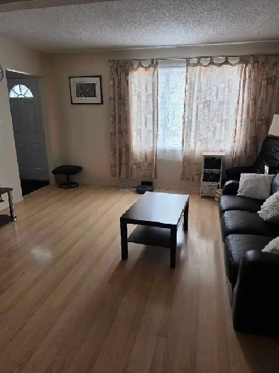 room for rent hinton alberta