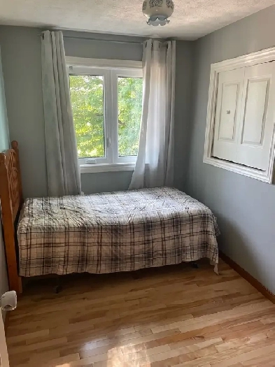 room for rent Chatsworth area