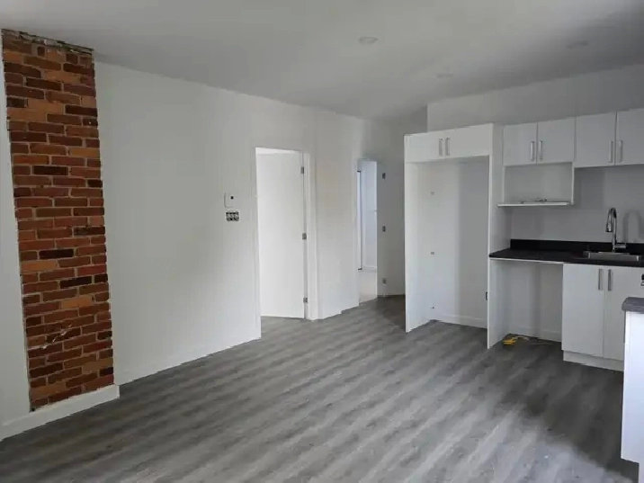 5 1/2 appartement à louer au Plateau Montreal