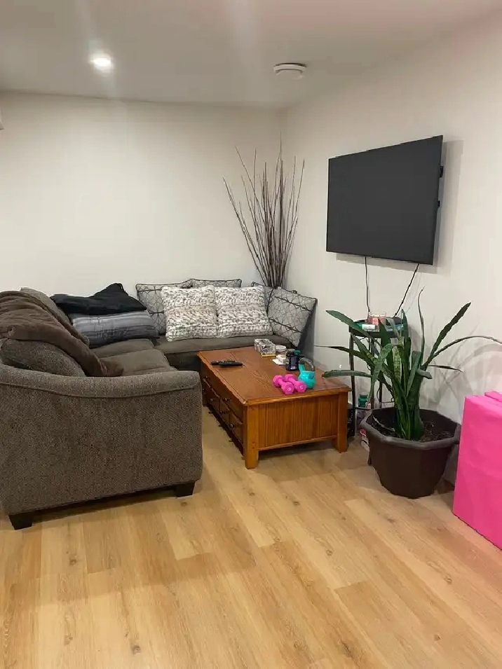 Amazing 1-bedroom basement suite in beautiful Legacy SE!$1,350