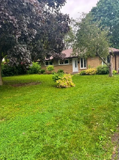3  2 Bedroom House with 2 separate apartments (separate entrance